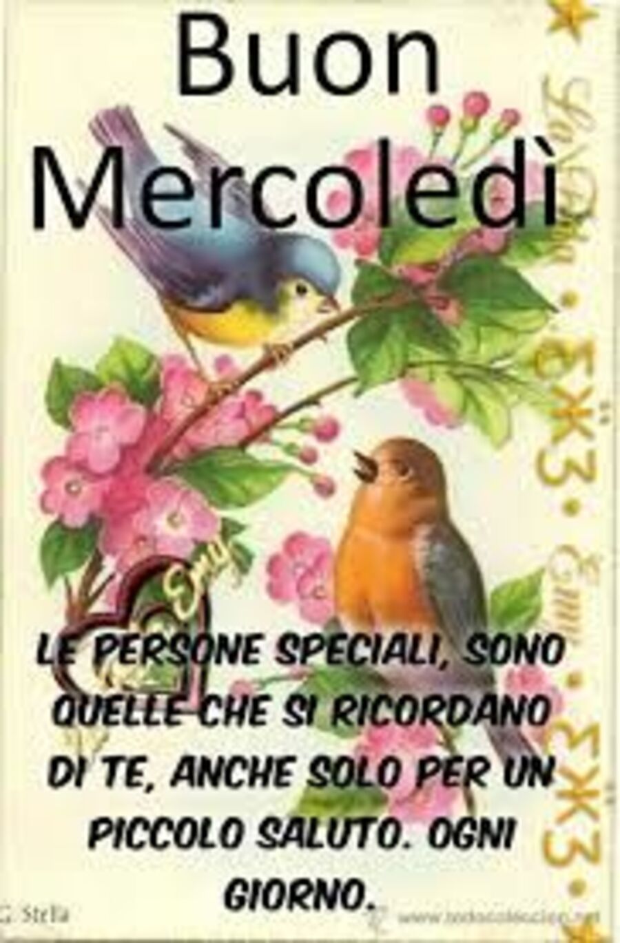mercoledi-0229